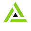 AGENT logo