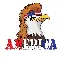 AMERICA logo