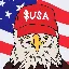 USA logo