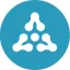 ARSE logo