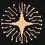 ASTER logo