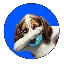 $HOUND logo