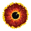 EYE logo