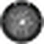 BERN logo