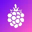 BERRIE logo