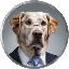 BINK logo