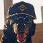 BINANCEDOG logo