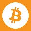 BTCINU logo