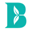 BLY logo
