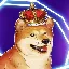 BNBDOGE logo