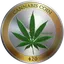 CANN logo