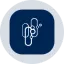 CAPRon logo