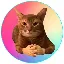 CATWIF logo