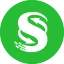 CNS logo