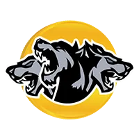 CRBRUS logo