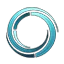 CSWAP logo