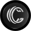 CAI logo