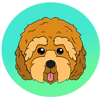 CPOO logo