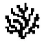 CORAL logo