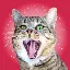 CRAZYCAT logo