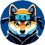NINJA logo