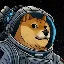 DOGE-1 logo