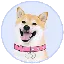 DOGEGF logo