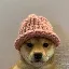 DOGWIFHAT logo