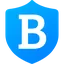BLUE logo