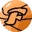 FST logo