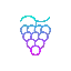 GRAPE logo
