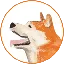 HACHI logo