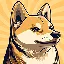 HACHI logo