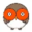 HOOT logo
