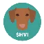 HVI logo
