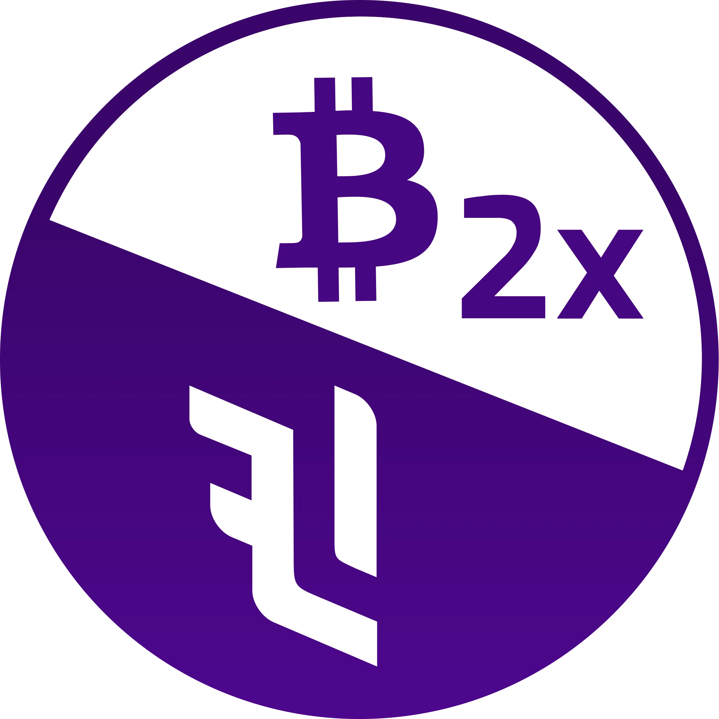 BTC2X-FLI logo