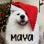 MAYA logo