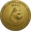MEFI logo