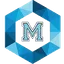 MICRO logo