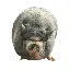 NIKEPIG logo