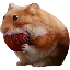 NOMNOM logo