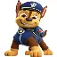 PAW logo
