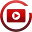 VIDZ logo