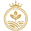 RAI logo