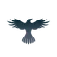 RAVEN logo
