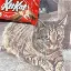 KITKAT logo