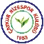 RIZE logo