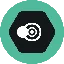 SNPT logo