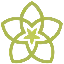 SPRING logo