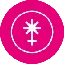 stJUNO logo